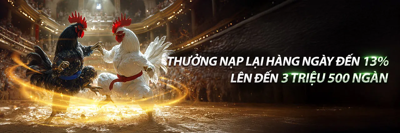 Chương trình VIP 77 ball nhà cái với ưu đãi độc quyền